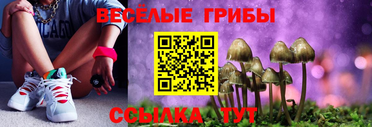 Псилоцибиновые грибы Psilocybe Наро-Фоминск